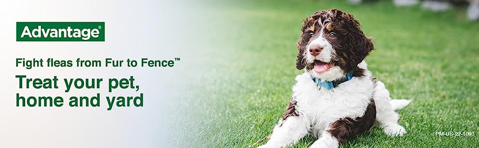 Advantage flea clearance shampoo for dogs