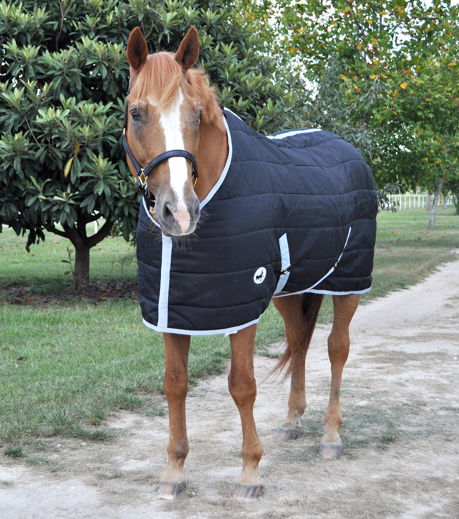 Jeffers Closed Front Stable Blanket