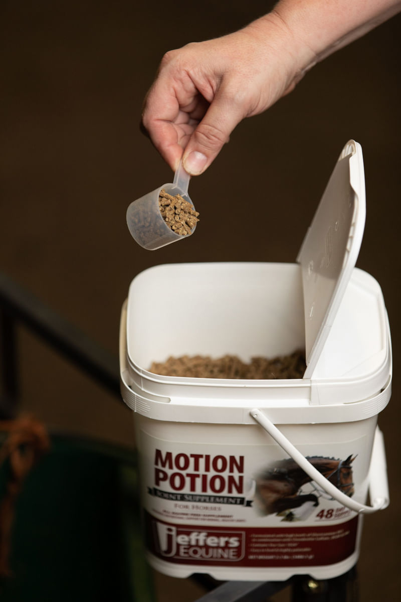 Jeffers Expression Potion Pellets Joint Supplements for Horses