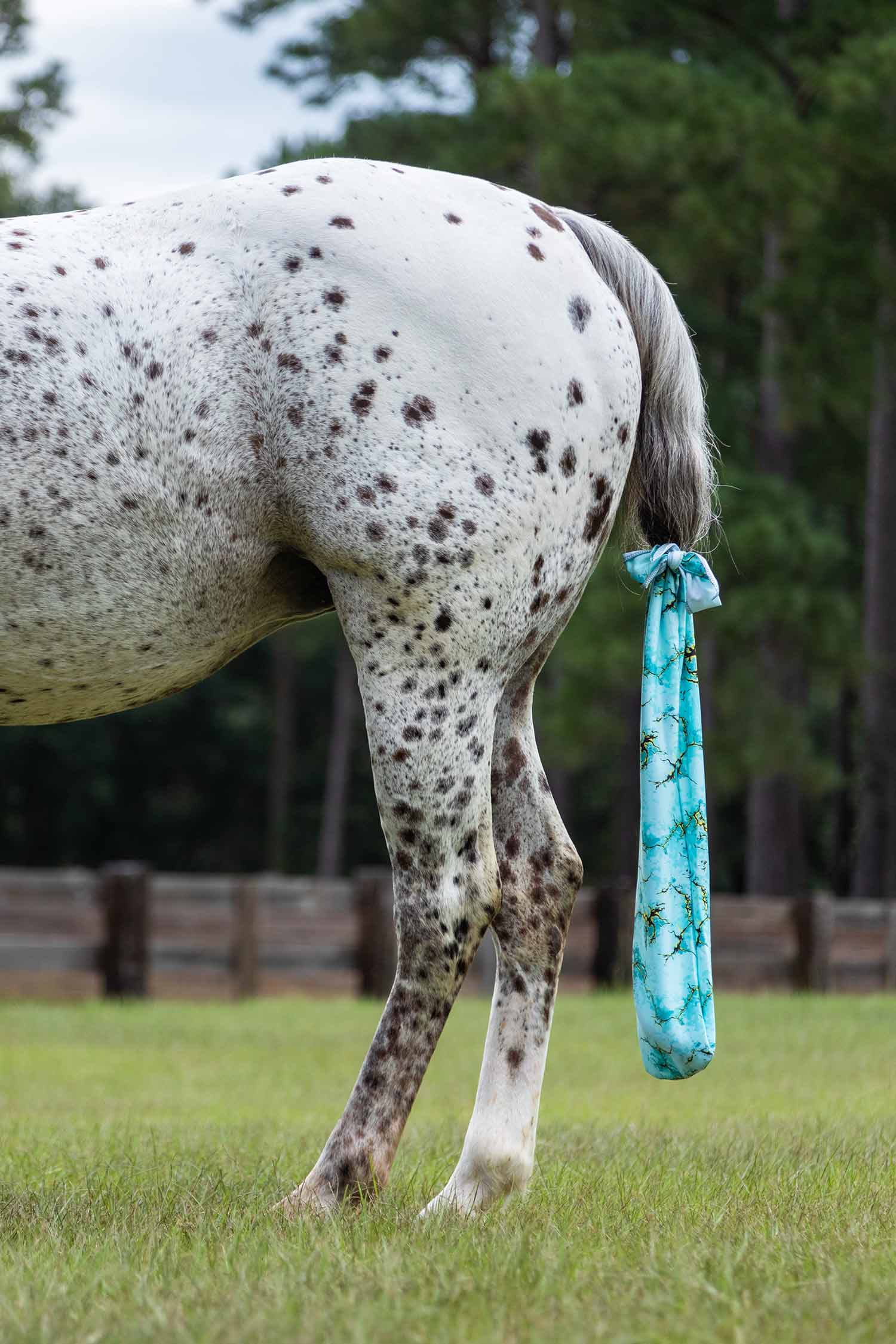 lycra tail bag in bisbee blue on horse tail