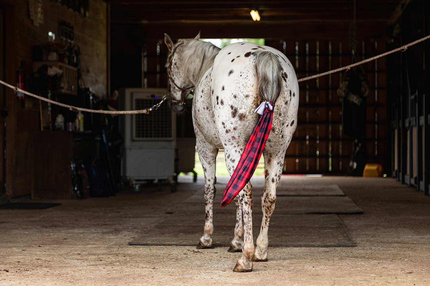 lycra horse tail bag in buffalo check red