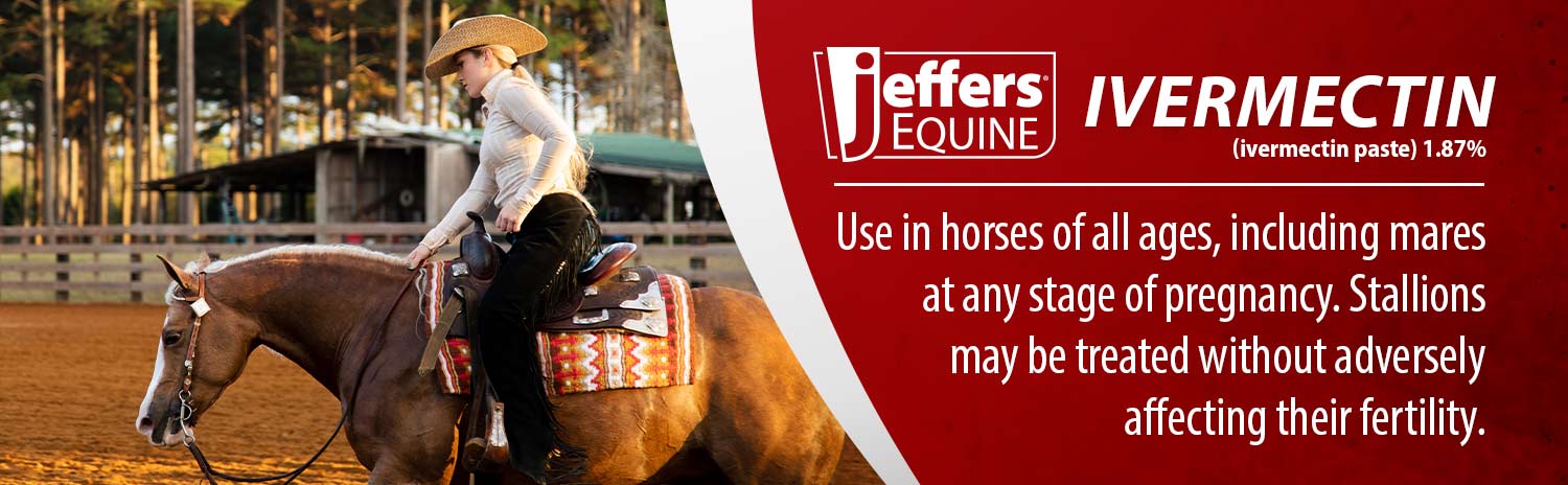 Jeffers vet outlet equine